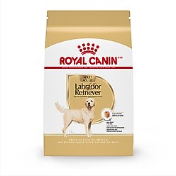 Royal Canin Breed Health Nutrition Labrador Retriever Adult Dry Dog Food, 30-lb bag