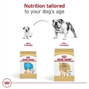 Royal Canin Breed Health Nutrition Bulldog Adult Dry Dog Food, 30-lb bag