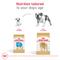 Show in main carousel: Royal Canin Breed Health Nutrition Bulldog Puppy Dry Dog Food, 6-lb bag slide 6 of 12