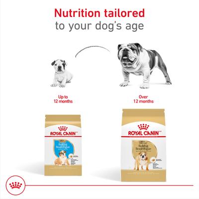 Show full view: Royal Canin Breed Health Nutrition Bulldog Puppy Dry Dog Food, 6-lb bag slide 6 of 12