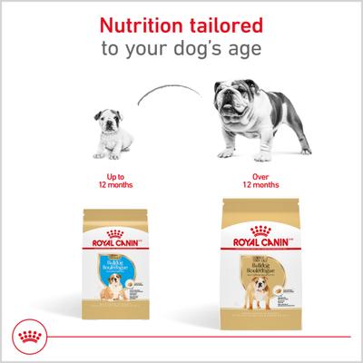 Show full view: Royal Canin Breed Health Nutrition Bulldog Adult Dry Dog Food, 17-lb bag slide 6 of 13