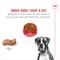 Show in main carousel: Royal Canin Breed Health Nutrition Boxer Adult Dry Dog Food, 17-lb bag slide 5 of 11