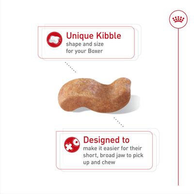 Royal Canin Breed Health Nutrition Boxer Adult Dry Dog Food