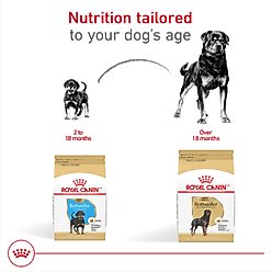 Royal Canin Breed Health Nutrition Rottweiler Puppy Dry Dog Food, 30-lb bag slide 2 of 9