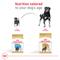 Show in main carousel: Royal Canin Breed Health Nutrition Rottweiler Adult Dry Dog Food, 30-lb bag slide 6 of 12