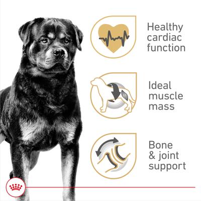 Royal Canin Breed Health Nutrition Rottweiler Adult Dry Dog Food