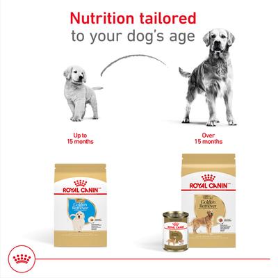 Show full view: Royal Canin Breed Health Nutrition Golden Retriever Adult Dry Dog Food, 17-lb bag slide 6 of 11