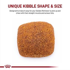 Royal Canin Breed Health Nutrition Golden Retriever Adult Dry Dog Food, 30-lb bag slide 2 of 8