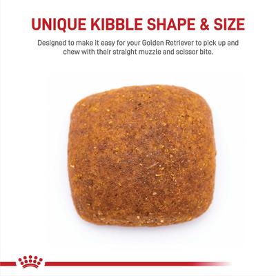 Show full view: Royal Canin Breed Health Nutrition Golden Retriever Adult Dry Dog Food, 17-lb bag slide 3 of 11