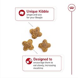 Royal Canin Breed Health Nutrition Beagle Adult Dry Dog Food, 30-lb bag slide 2 of 9