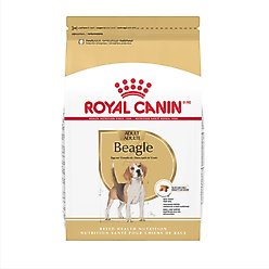 Royal Canin Breed Health Nutrition Beagle Adult Dry Dog Food, 30-lb bag