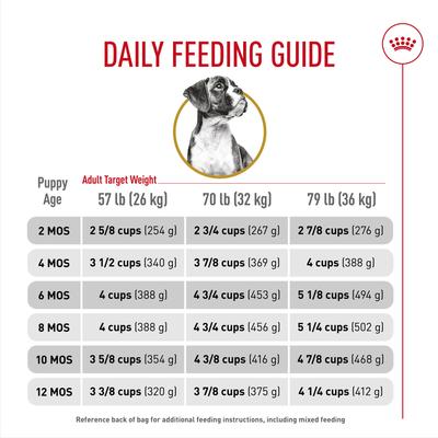 Show full view: Royal Canin Breed Health Nutrition Boxer Puppy Dry Dog Food, 30-lb bag slide 9 of 11