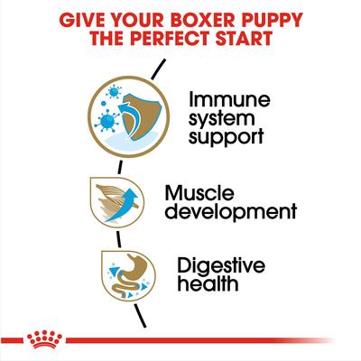 Show full view: Royal Canin Breed Health Nutrition Boxer Puppy Dry Dog Food, 30-lb bag slide 4 of 11