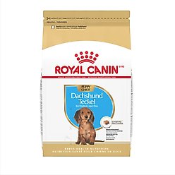 Royal Canin Breed Health Nutrition Dachshund Puppy Dry Dog Food, 2.5-lb bag