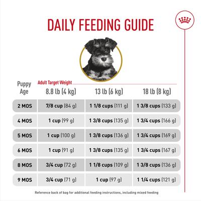 Show full view: Royal Canin Breed Health Nutrition Miniature Schnauzer Puppy Dry Dog Food, 2.5-lb bag slide 8 of 12