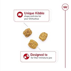 Royal Canin Breed Health Nutrition Chihuahua Adult Dry Dog Food, 10-lb bag slide 2 of 8