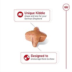 Royal Canin Breed Health Nutrition German Shepherd Adult Dry Dog Food, 17-lb bag slide 2 of 8
