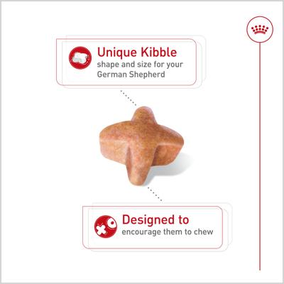 Show full view: Royal Canin Breed Health Nutrition German Shepherd Adult Dry Dog Food, 17-lb bag slide 4 of 13