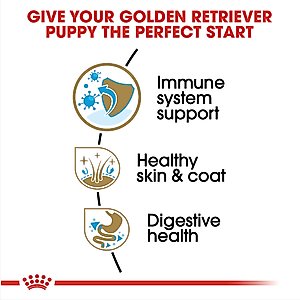 Royal Canin Breed Health Nutrition Golden Retriever Puppy Dry Dog Food, 30-lb bag