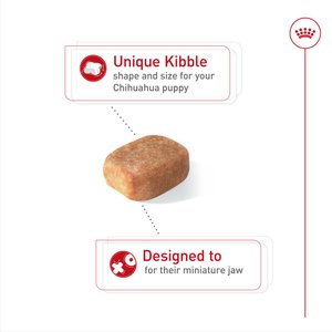 Royal Canin Breed Health Nutrition Chihuahua Puppy Dry Dog Food, 2.5-lb bag