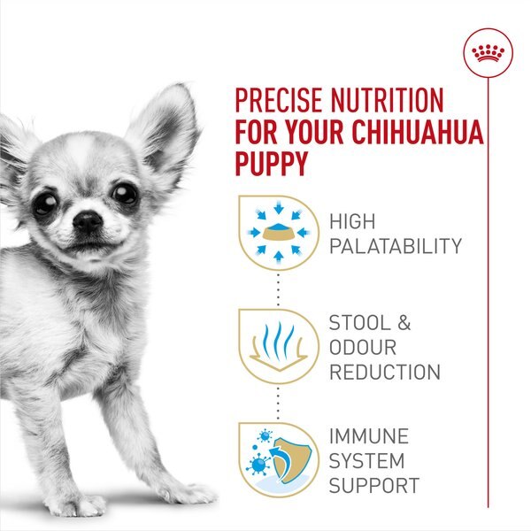 Royal Canin Chihuahua Puppy Dry Dog Food