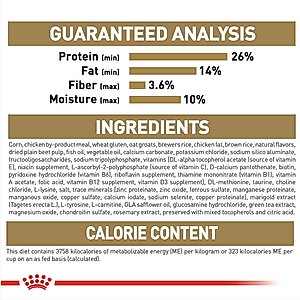 Royal Canin Breed Health Nutrition Chihuahua Adult Dry Dog Food, 10-lb bag