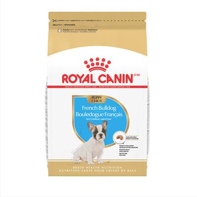 Royal Canin Breed Health Nutrition French Bulldog Puppy Dry Dog Food