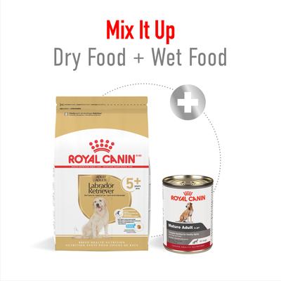 Show full view: Royal Canin Breed Health Nutrition Labrador Retriever Adult 5+ Dry Dog Food, 28-lb bag slide 4 of 11