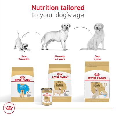 Show full view: Royal Canin Breed Health Nutrition Labrador Retriever Adult 5+ Dry Dog Food, 28-lb bag slide 5 of 11