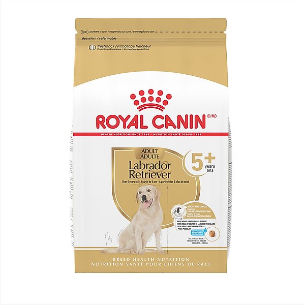 What Age Do You Start Adult Dog Food: Expert Tips Revealed