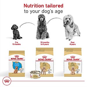 Royal Canin Breed Health Nutrition Poodle Adult Loaf in Sauce Canned Dog Food, 3-oz can, case of 24