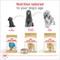 Show in main carousel: Royal Canin Breed Health Nutrition Poodle Adult Loaf in Sauce Canned Dog Food, 3-oz can, case of 24 slide 6 of 13