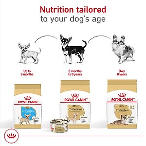Royal Canin Breed Health Nutrition Chihuahua Adult Dry Dog Food, 10-lb bag