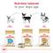 Show in main carousel: Royal Canin Breed Health Nutrition Chihuahua Adult 8+ Dry Dog Food, 2.5-lb bag slide 6 of 11