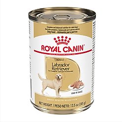 Royal Canin Breed Health Nutrition Labrador Retriever Loaf Pate Adult Wet Dog Food, 13.5-oz, case of 12