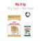 Show in main carousel: Royal Canin Breed Health Nutrition Jack Russell Terrier Adult Dry Dog Food, 10-lb bag slide 6 of 12