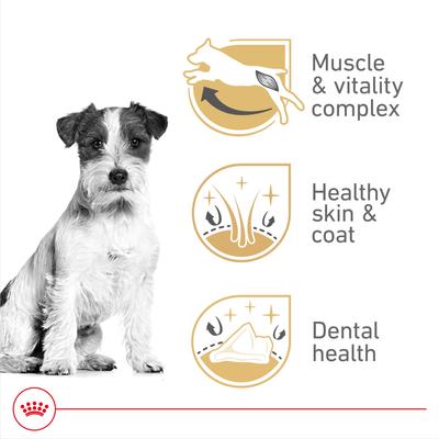 Show full view: Royal Canin Breed Health Nutrition Jack Russell Terrier Adult Dry Dog Food, 10-lb bag slide 4 of 12