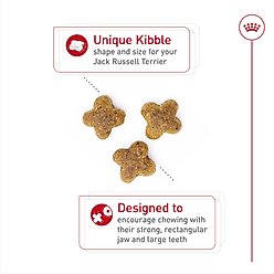 Royal Canin Breed Health Nutrition Jack Russell Terrier Adult Dry Dog Food, 10-lb bag slide 2 of 8