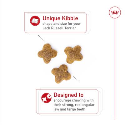 Show full view: Royal Canin Breed Health Nutrition Jack Russell Terrier Adult Dry Dog Food, 10-lb bag slide 3 of 12