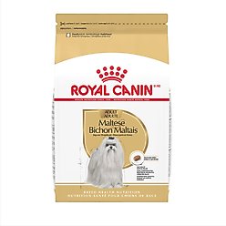 Royal Canin Breed Health Nutrition Maltese Adult Dry Dog Food, 10-lb bag