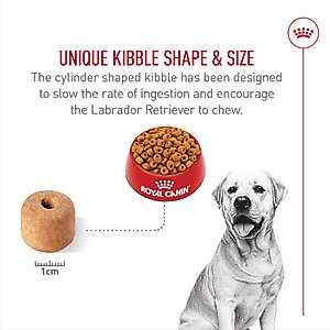 Royal Canin Breed Health Nutrition Labrador Retriever Adult Dry Dog Food, 30-lb bag
