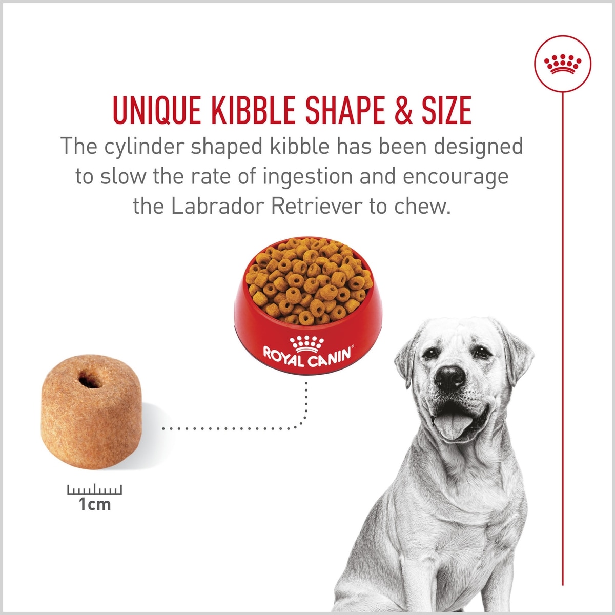 Royal Canin Labrador Retriever Adult Dry Dog Food (Free Shipping