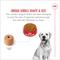 Show in main carousel: Royal Canin Breed Health Nutrition Labrador Retriever Adult Dry Dog Food, 30-lb bag slide 6 of 12