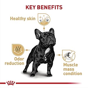 Royal Canin Breed Health Nutrition French Bulldog Adult Dry Dog Food, 17-lb bag