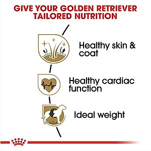 Royal Canin Breed Health Nutrition Golden Retriever Adult Dry Dog Food, 30-lb bag