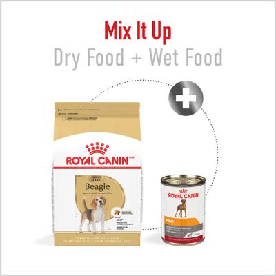 Show full view: Royal Canin Breed Health Nutrition Beagle Adult Dry Dog Food, 30-lb bag slide 6 of 14
