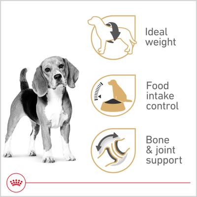 Show full view: Royal Canin Breed Health Nutrition Beagle Adult Dry Dog Food, 30-lb bag slide 4 of 14