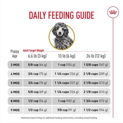 ROYAL CANIN Breed Health Nutrition Poodle Puppy Dry Dog Food,