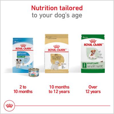 Show full view: Royal Canin Breed Health Nutrition West Highland White Terrier Adult Dry Dog Food, 10-lb bag slide 5 of 11