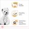 Show in main carousel: Royal Canin Breed Health Nutrition West Highland White Terrier Adult Dry Dog Food, 10-lb bag slide 3 of 11